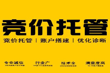 成功案例：SEM运营托管助力企业快速扩张